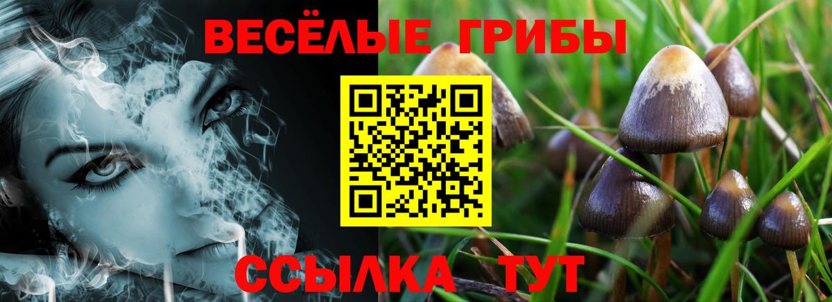 Таганрог  как найти закладки  Вход с VPN  Галлюциногенные грибы прущие грибы 